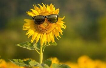 У Миколаєві збережеться тепла погода » Новини Миколаїва