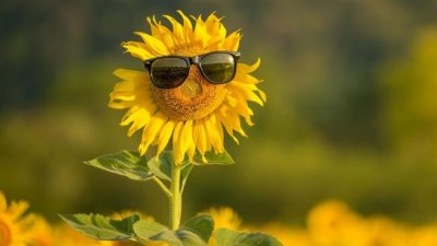 У Миколаєві збережеться тепла погода » Новини Миколаїва