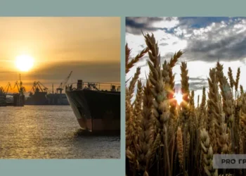 Україна “вирвалась з лап” РФ? Що відбувається зі зерновим коридором в Чорному морі | Економіка