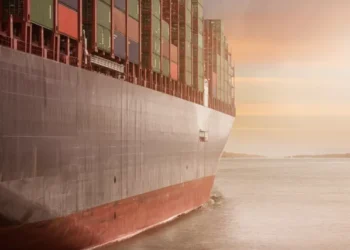 Українське зерно під загрозою: росіяни вивозять соняшник з Маріуполя | Економіка