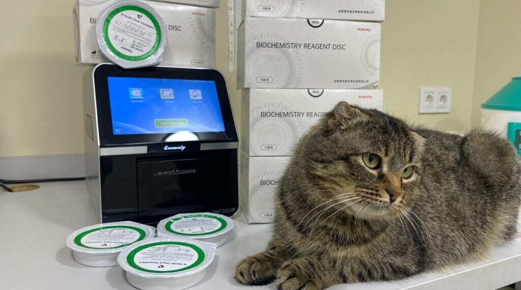 В Ірпінській громаді продовжують реалізовувати програму безкоштовної стерилізації та вакцинації тварин