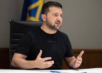 Зеленський анонсував новий зерновий коридор з України