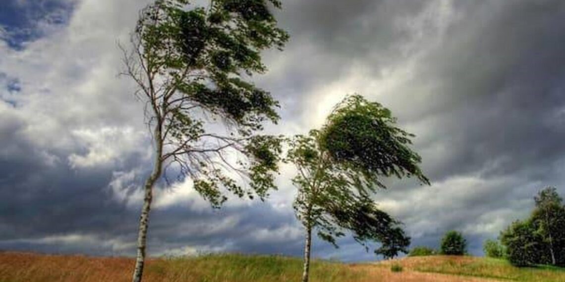 Жителів Київщини попереджають про небезпечні метеорологічні явища 28 жовтня