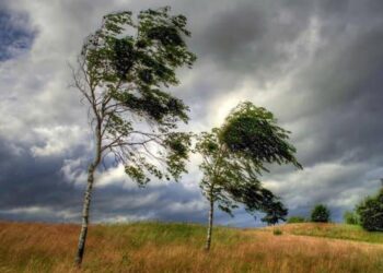 Жителів Київщини попереджають про небезпечні метеорологічні явища 28 жовтня