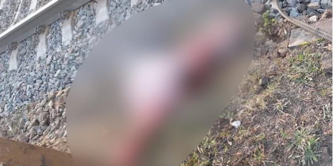 Жителька Фастівщини загинула під колесами потяга