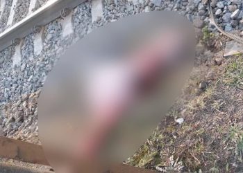 Жителька Фастівщини загинула під колесами потяга