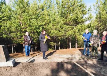 18 листопада у селищі Борова Фастівської громади вшанували пам’ять Січових стрільців