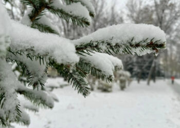 Киян та жителів області попередили про хуртовини та заметілі, школи Київщини працюватимуть дистанційно | Київщіна