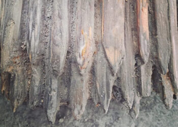 У Київській області знайшли унікальний артефакт, який вимило з річки Десна, фото – Київщіна