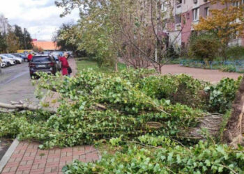 У Києві негода призвела до підтоплень у трьох районах та падіння дерев, є постраждалий | Київщіна