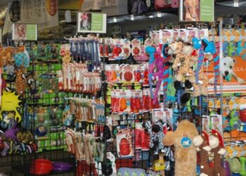 6 речей, які слід враховувати при купівлі корму для домашніх тварин