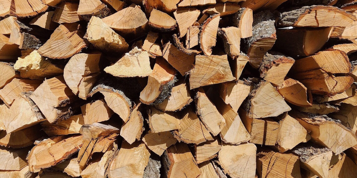 В Ірпінській громаді безкоштовно даватимуть дрова для пільгових категорій осіб, фото – Київщіна