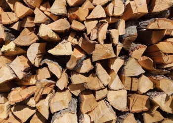 В Ірпінській громаді безкоштовно даватимуть дрова для пільгових категорій осіб, фото – Київщіна