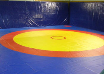 Борці з Полтавщини здобули тринадцять нагород на турнірі «Олімпійські надії Поділля» • Вільна боротьба •