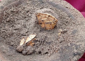 Археологи знайшли унікальний скарб, пов’язаний з буремними історичними подіями часів Гетьманщини, фото – Київщіна