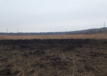 Екологічні наслідки падіння рашистської ракети в Запоріжжі |