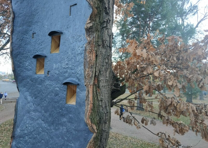 Віковий дуб на Київщині отримав друге життя і слугуватиме будиночком для птахів і кажанів, фото – Київщіна