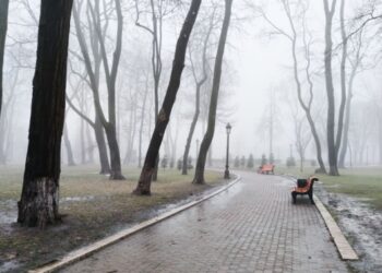 Мокрий сніг та 5 градусів тепла. Якою буде погода на Львівщині сьогодні – Перший львівській портал