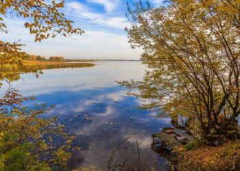 На Бориспільщині повернуто державі землі водного фонду вартістю 99 млн грн