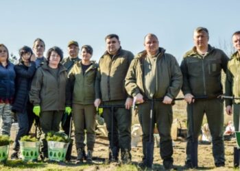 На Дніпровщині висадили сосни на честь загиблих воїнів