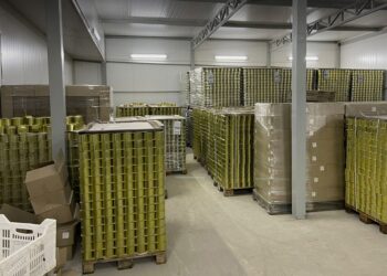 На Київщині виробники консерв для ЗСУ не сплачували податків та співпрацювали з рф