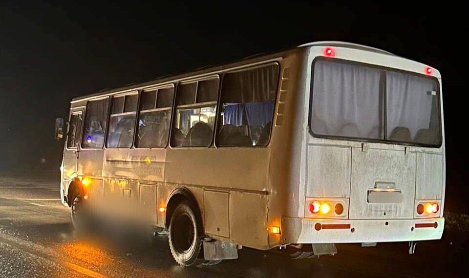 На Київщині водій автобуса збив на смерть пішохода