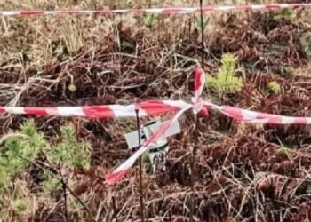 На Макарівщині у лісі виявили вибухонебезпечний предмет