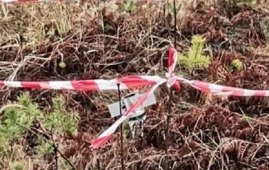 На Макарівщині у лісі виявили вибухонебезпечний предмет