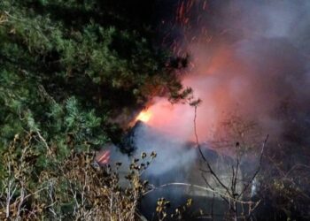 На Обухівщині спалахнув будинок: постраждав власник