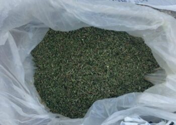 На Охтирщині викрили чоловіка у незаконному зберіганні наркотиків – Суми та область