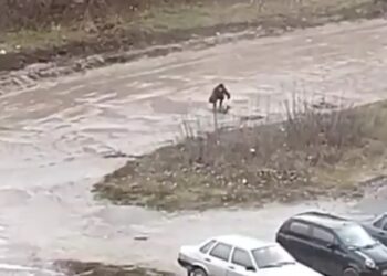 Накипіло: Житель Сумщини під час дощу руками латав ями на дорозі – Суми та область