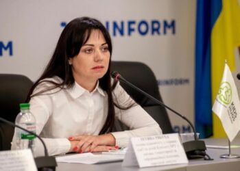 Нардеп Тетяна Скрипка підтримала законопроєкт, що передбачає посилення покарання за домашнє насильство – Суми та область