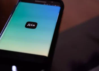 Паспорт в Дії не приймуть на українському кордоні – в чому причина | Економіка