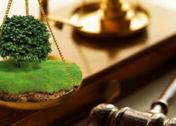 Прокурори через суд скасовують незаконну оренду 27 га землі на Фастівщині