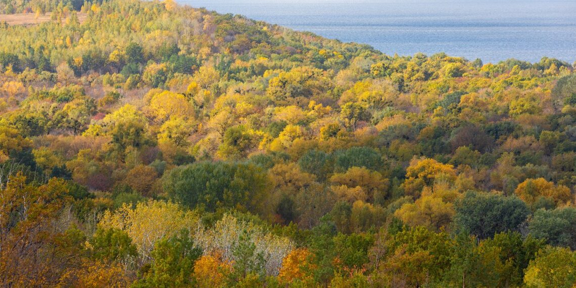 Суд повернув Ржищівській громаді землі ландшафтного парку “Трахтемирів”