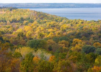 Суд повернув Ржищівській громаді землі ландшафтного парку “Трахтемирів”