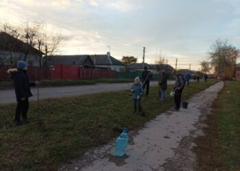 У Кролевці діти висадили «Алею надії» – Суми та область