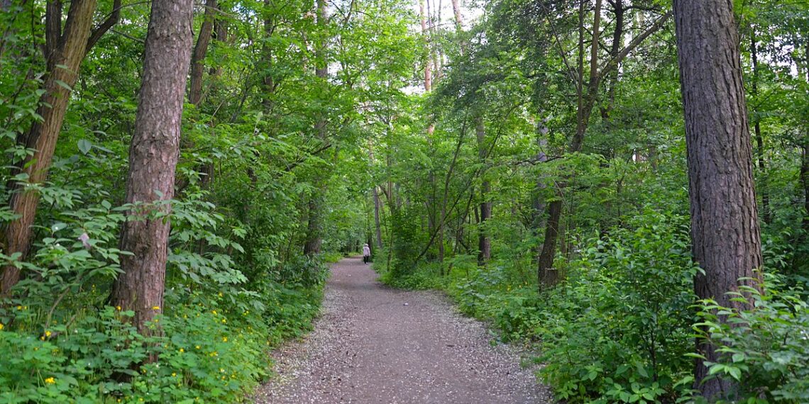 У Софіївській Борщагівці розірвали договір користування землею парку “Зелена Брама”