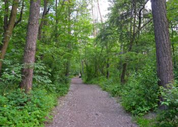 У Софіївській Борщагівці розірвали договір користування землею парку “Зелена Брама”