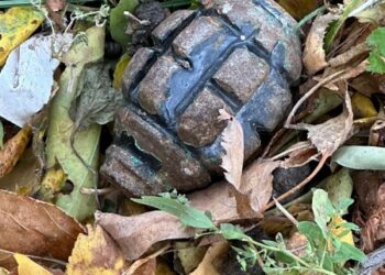 У Сумах на клумбі біля будинку знайшли гранату – Суми та область