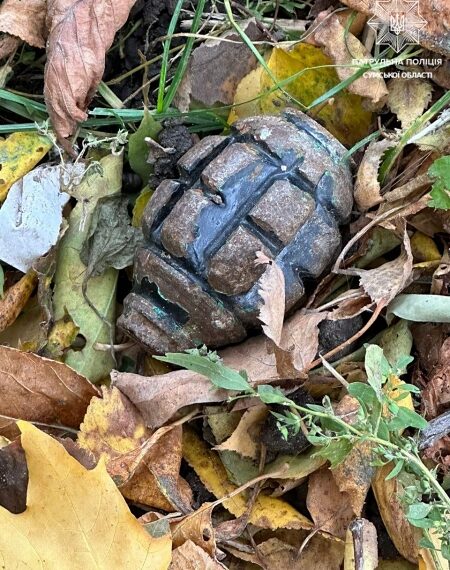 У Сумах на клумбі біля будинку знайшли гранату – Суми та область