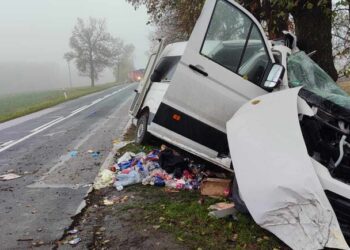 В Польше разбился автобус с украинцами: что известно