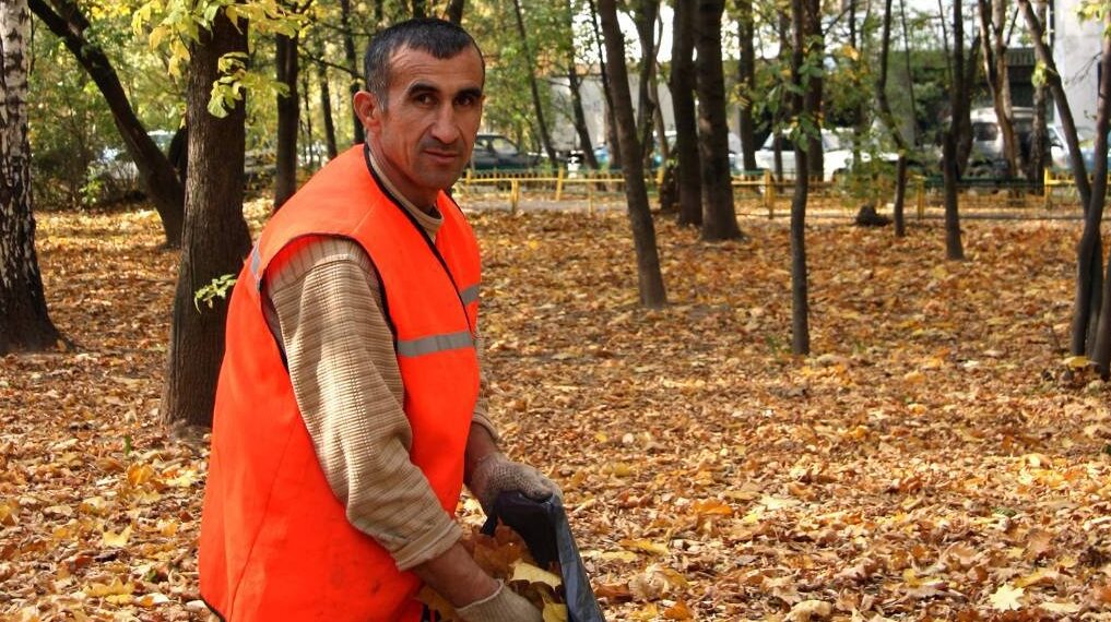 З приватних домоволодінь у Бучі та Ворзелі безкоштовно вивозитимуть листя