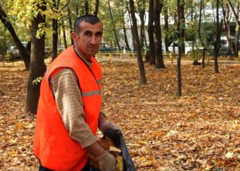 З приватних домоволодінь у Бучі та Ворзелі безкоштовно вивозитимуть листя