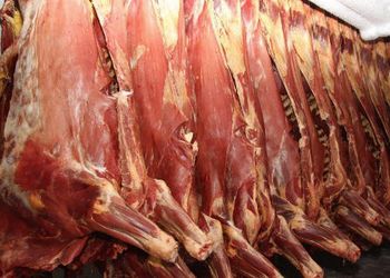 Експорт мороженого м’яса ВРХ за 11 місяців зріс у 1,5 раза – Економіка