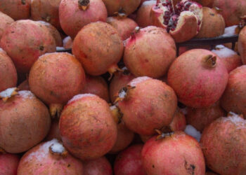 У Києві 29 грудня вісім районів проводять ярмарки (адреси) | Київщіна