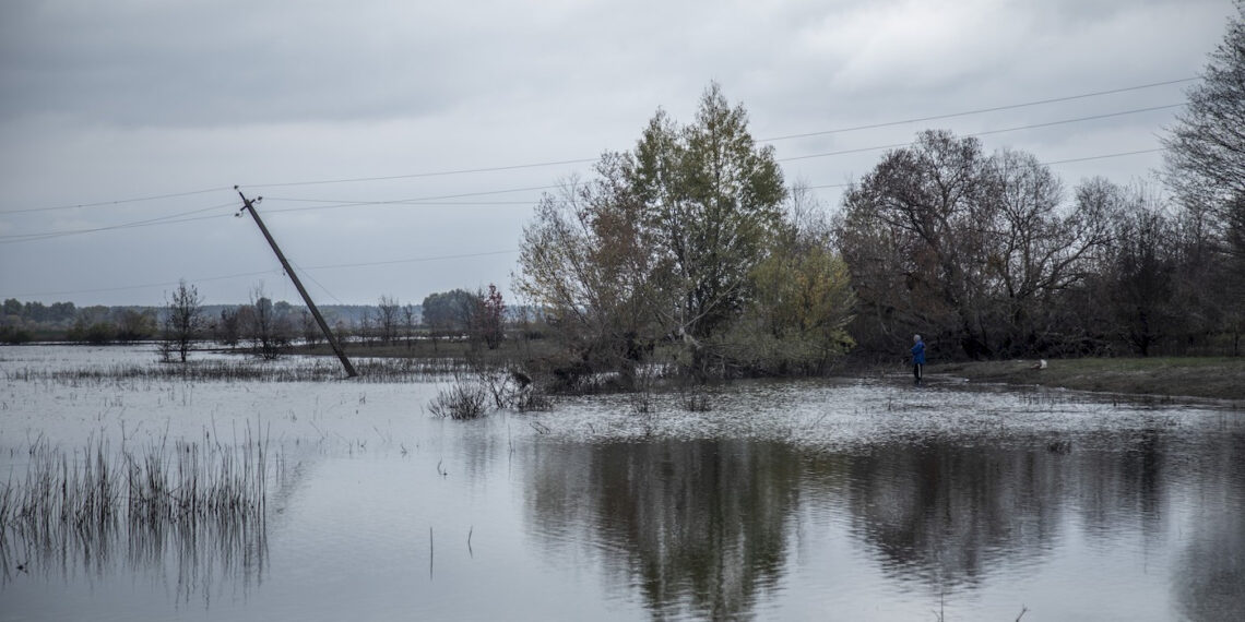 На Київщині створили ландшафтний заказник “Ріка-Герой Ірпінь”, щоб “віддячити” їй за оборону Києва, фото – Київщіна