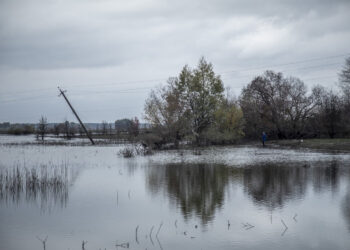 На Київщині створили ландшафтний заказник “Ріка-Герой Ірпінь”, щоб “віддячити” їй за оборону Києва, фото – Київщіна