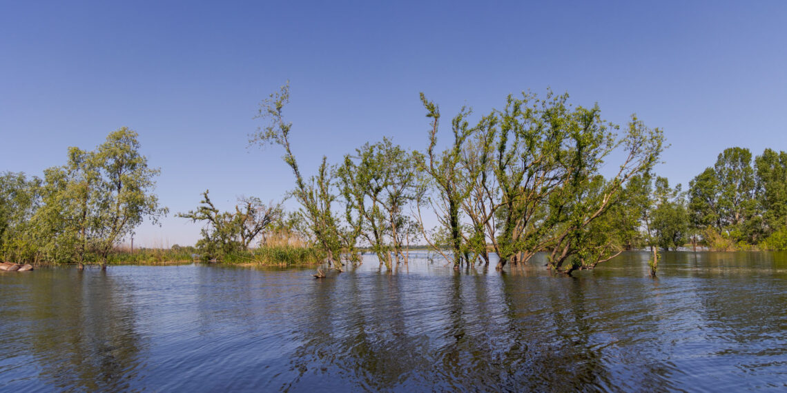 Місце, що врятувало киян: ландшафтний заказник “Ріка-Герой Ірпінь” створили на Київщині, фото – Київщіна