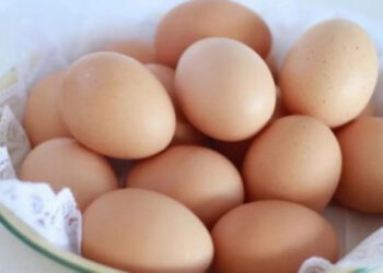 Для шкіл і садочків Білої Церкви замовили яйця по 6,2 грн за штуку | Київщіна